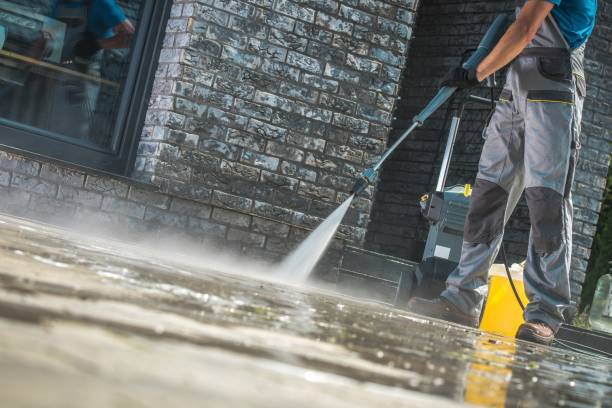 Best Solar Panel Cleaning  in Ellicott City, MD